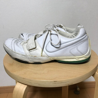 ナイキズームエア nike zoom air フットサル 29cm