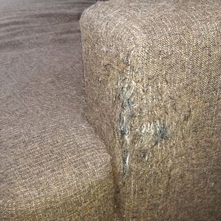 ５年ぐらい使ったソファーです。の画像