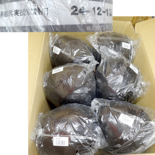 未開封☆三矢 国家試験用 カットウィッグ 24-12-13 ×6体セット