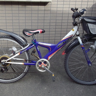 ブリヂストンEX9 ジュニアMTB 24インチ中古小学生 (C100) 国分寺