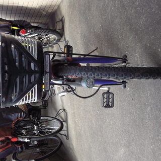 ブリヂストンEX9 ジュニアMTB 24インチ中古小学生 (C100) 国分寺