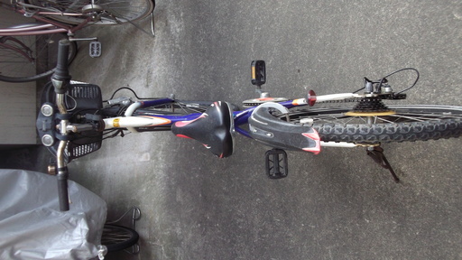 ブリヂストンEX9 ジュニアMTB 24インチ中古小学生 (C100) 国分寺