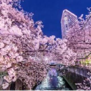 24火曜日 休みの方？中目黒🌸花見