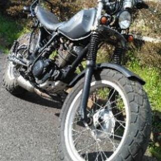 TW200　(2)の画像