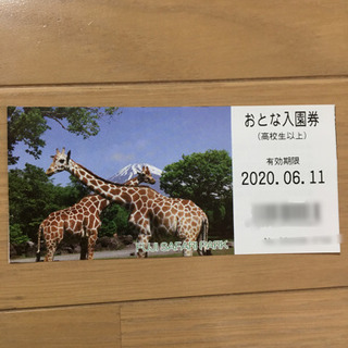 ★ 富士サファリパーク★