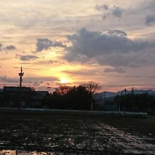 福井県内デュエマいっしょにできる方募集ー