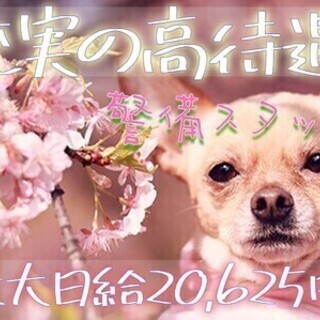 [女性活躍中]#週3日~◎#週払い#直行直帰#有給休暇#社保完備...