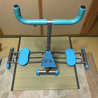 レッグウィングの画像