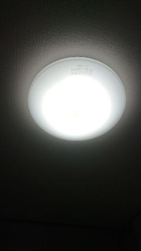 リビング電気にいかがですか？