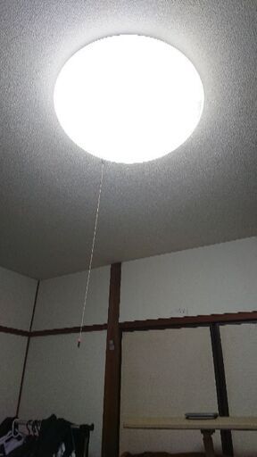 電気照明いかがですか？