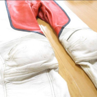 レーシングスーツ　セパレートタイプの画像