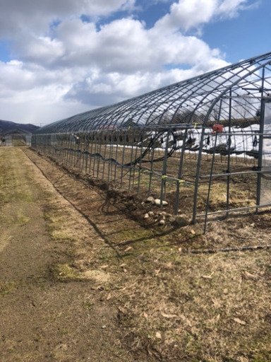 ビニールハウス骨組み譲ります！