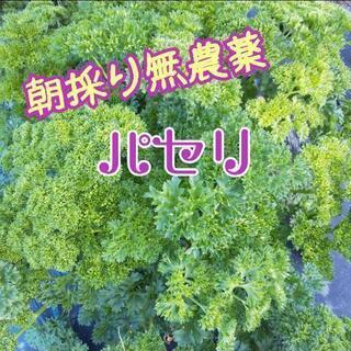 終了【よねベジ】の画像