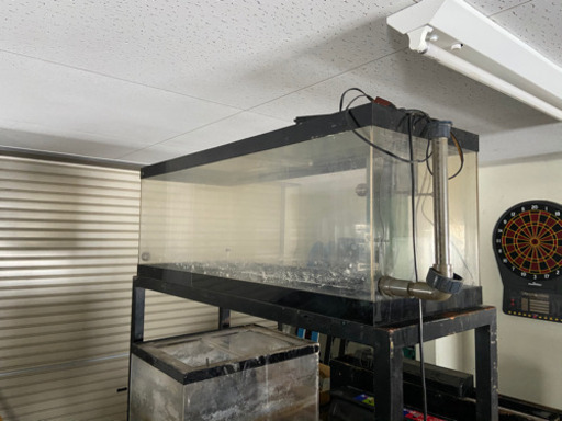 アクリル120センチ水槽と濾過水槽のセットアロワナアクアリウム水草