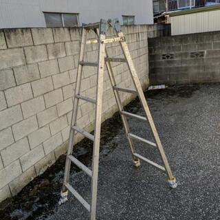 ハセガワの６尺脚立