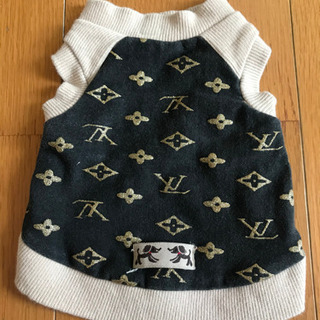 犬　洋服の画像