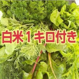 5/半ば～ご予約受付中⚠️メチャ激込み🙇🏻‍♀️‼️白米備蓄‼️...