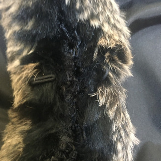 ラビット毛皮ジャケット(リバーシブル)の画像