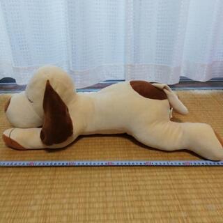 ぬいぐるみ　の画像