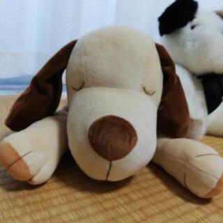 ぬいぐるみ　の画像