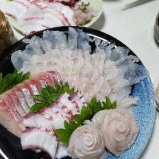 魚捌きます！