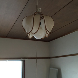 【終了しました】アジアン照明の画像