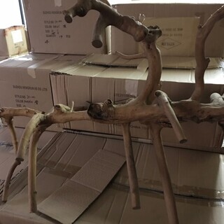 流木 木曽 天然木 超大型 約50～60cm！ イチオシ！ 木工芸 置物 自然木製