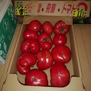 トマトまとめ売り