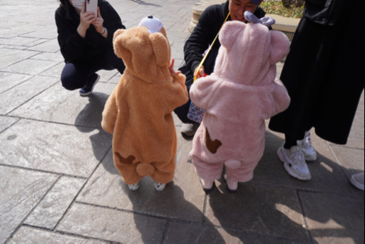 ダッフィandシェリーメイ　オールカバー