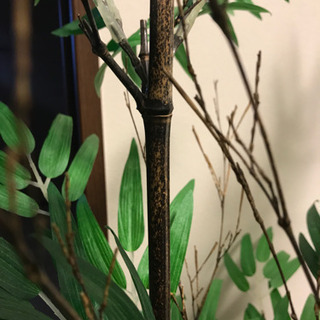 黒竹　100cm 人工観葉植物の画像