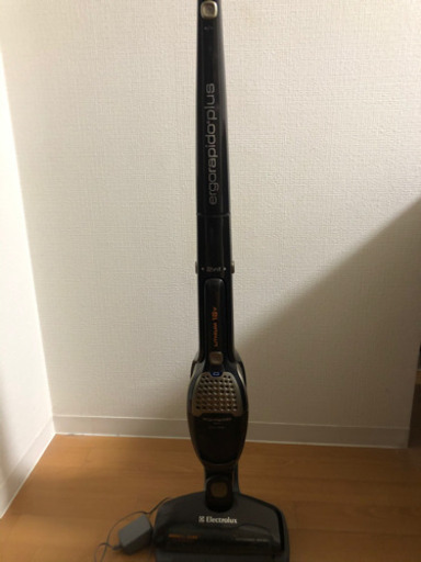 エルゴラピード掃除機