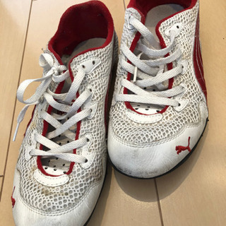 PUMA スニーカー22.5㌢