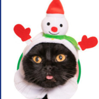 ねこのかぶりもの ゆきだるま