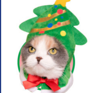 ねこのかぶりもの ツリー②