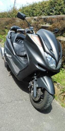 マジェスティC　限定車　(2)