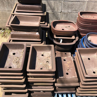 信楽焼  盆栽用 陶器鉢の画像