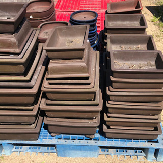 信楽焼  盆栽用 陶器鉢の画像