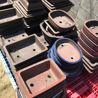 信楽焼  盆栽用 陶器鉢