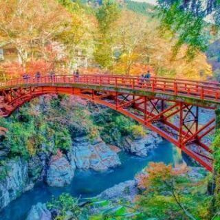 ⭐🌈個人募集はスルーして全国版メンバー来てちょ🌈⭐
