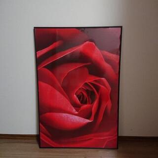 (引き取り先決定しました)壁掛け写真