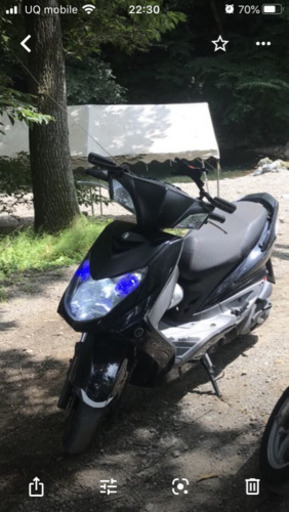 シグナス 【交換希望】