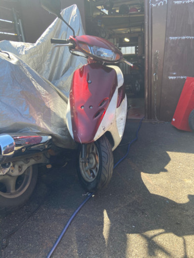 ライブディオ 実働車激安価格！