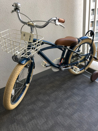 【希少】ブリエアンファン