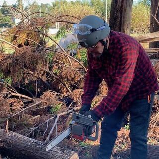 ＊チェーンソー講習会＊随時受付中＊の画像
