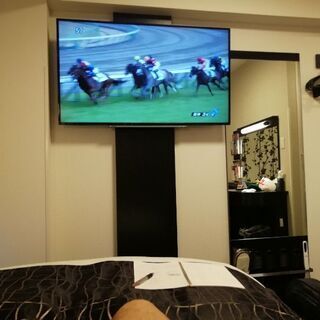グリーンチャンネルで競馬