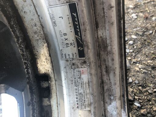 アミスタットWEGA ２個。ラジアルタイヤ（ホイールセットなし）