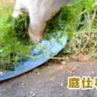 (4) 草刈り、草抜き、除草剤の散布、砂利敷、庭掃除、お庭・植木...