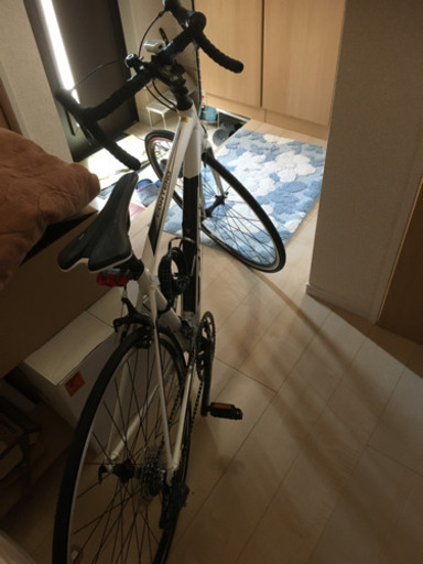 コンテンド2  未使用品