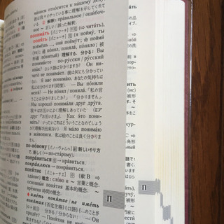 ロシア語辞典　露和辞典　露和辞書の画像