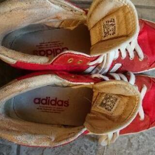 ﾚｱ物 adidasｽﾆｰｶｰの画像